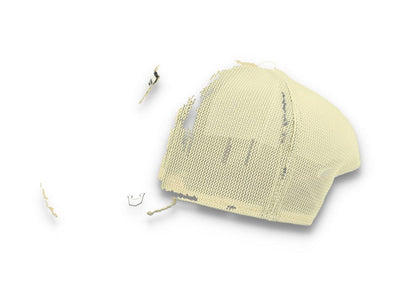 Goorin Animal Farm Trucker Cap First Best Friend