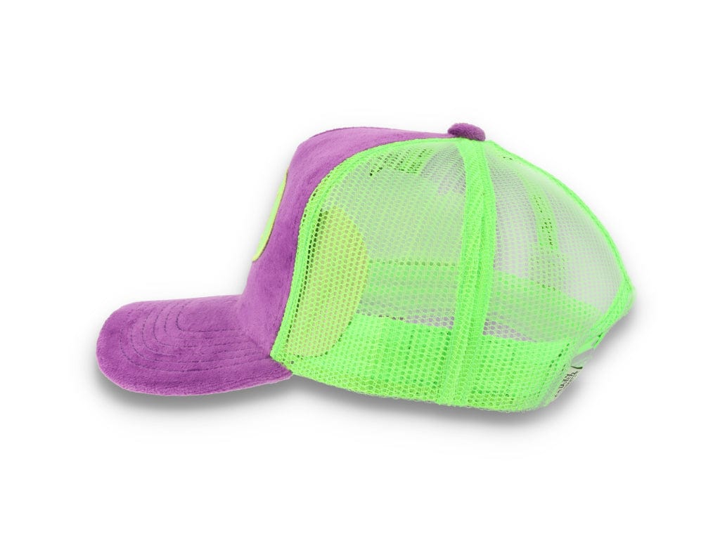 Trucker Cap Von Dutch Kent Violet/Green - LOKK