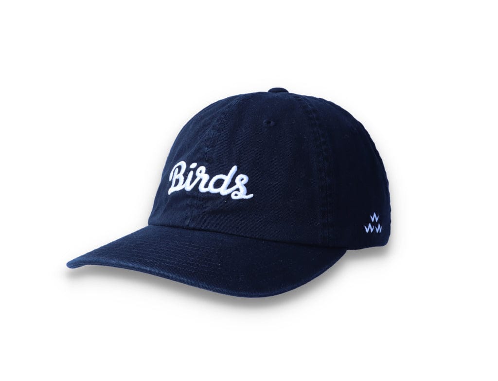 Birds Rad Cap Black - LOKK
