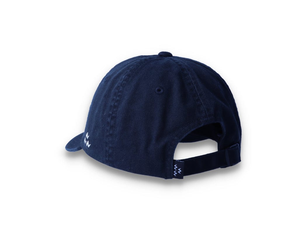 Birds Rad Cap Black - LOKK