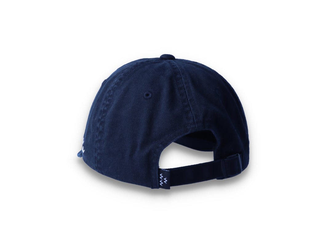 Birds Rad Cap Black - LOKK