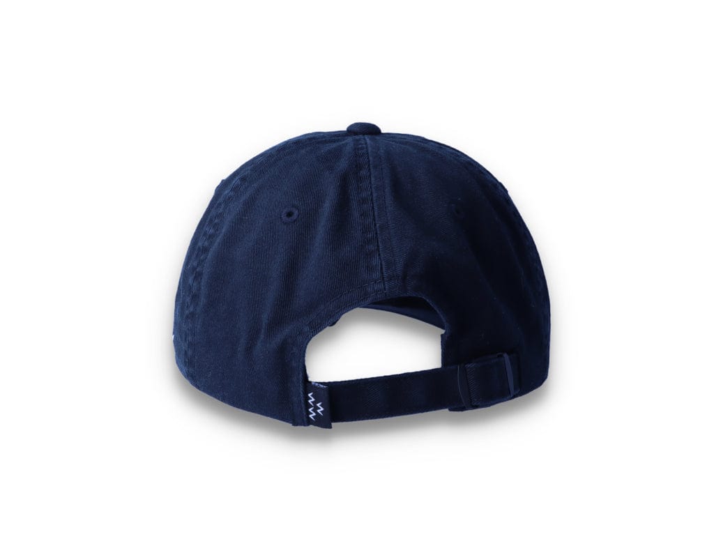 Birds Rad Cap Black - LOKK