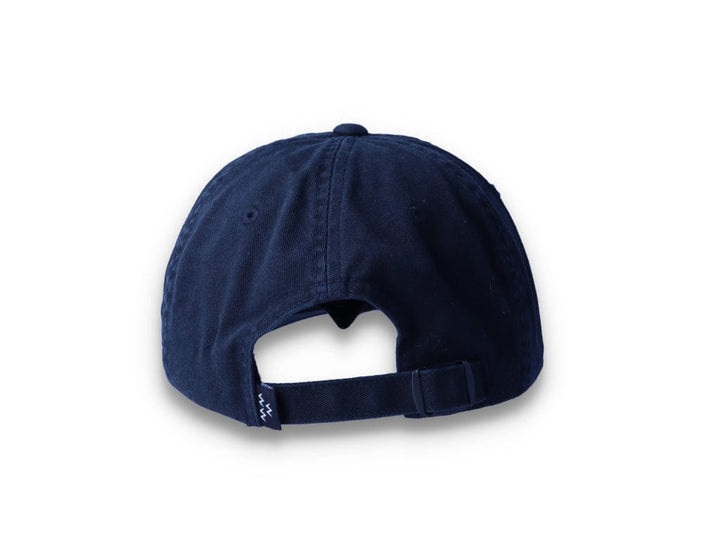 Birds Rad Cap Black - LOKK