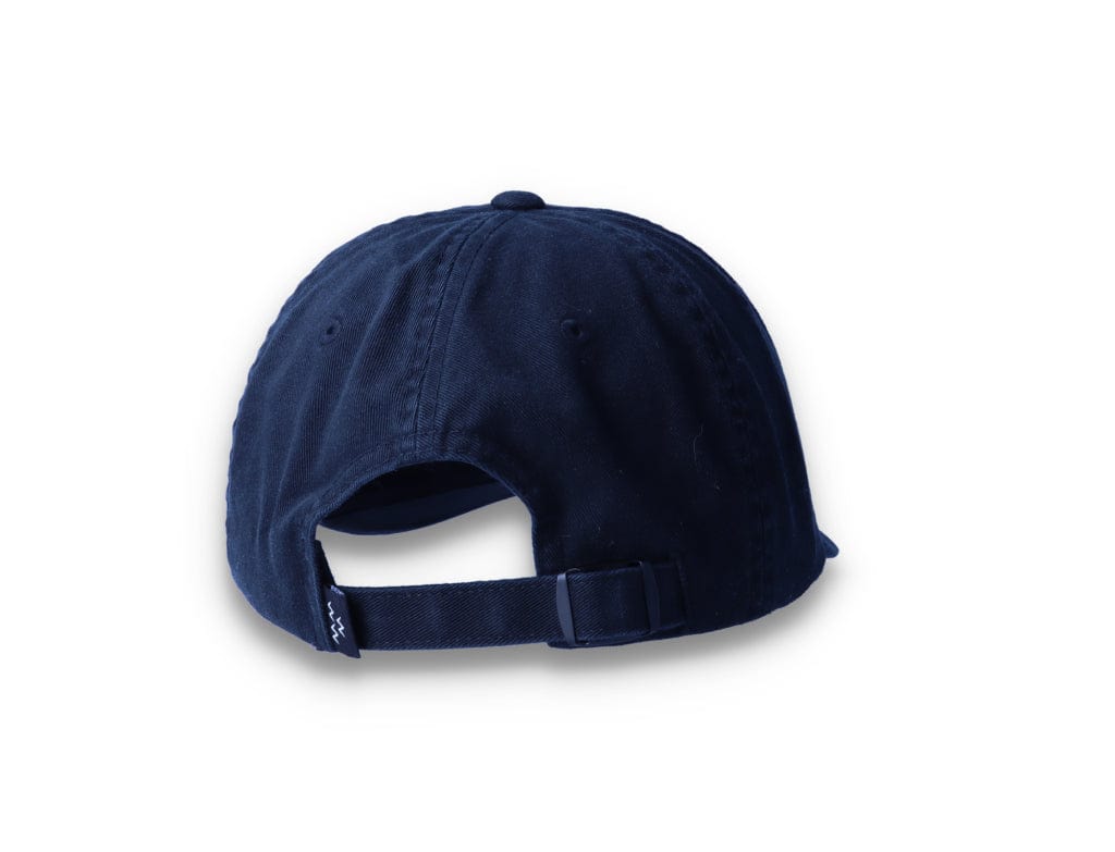 Birds Rad Cap Black - LOKK