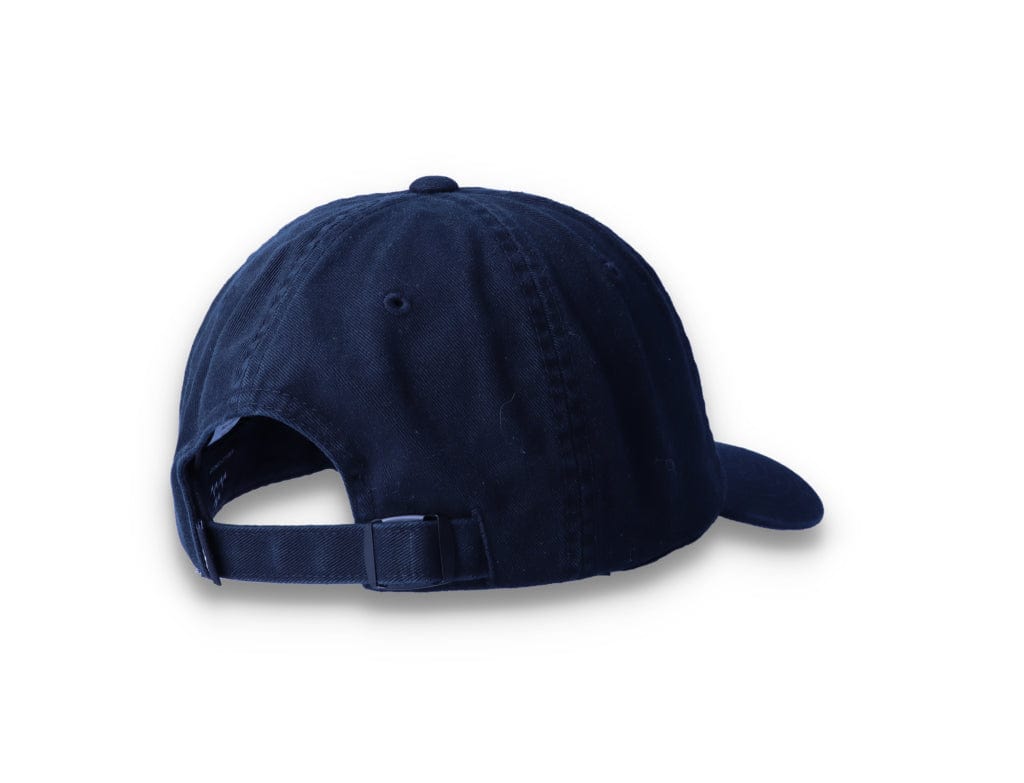 Birds Rad Cap Black - LOKK