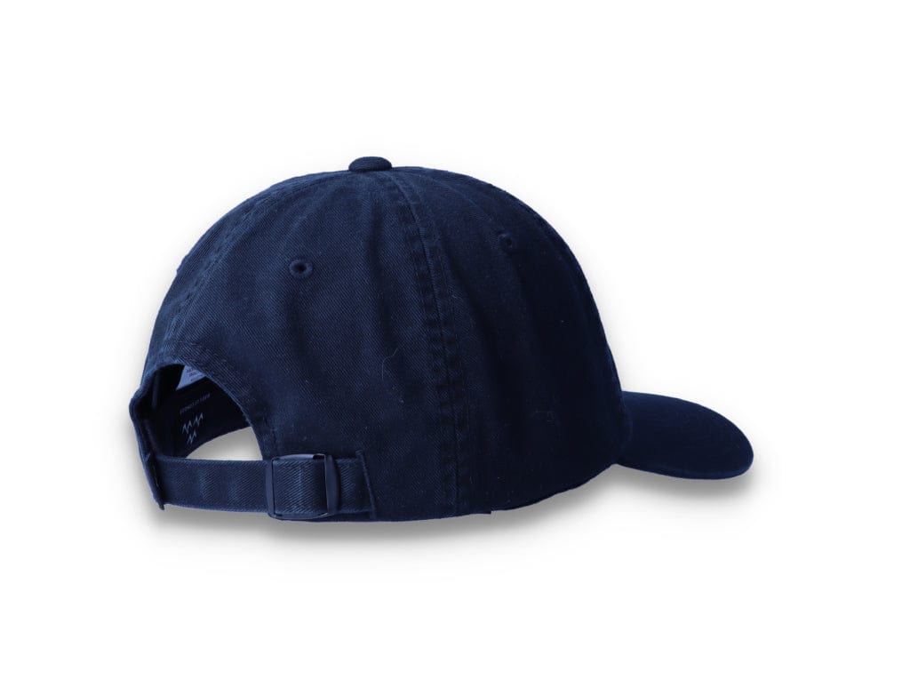 Birds Rad Cap Black - LOKK