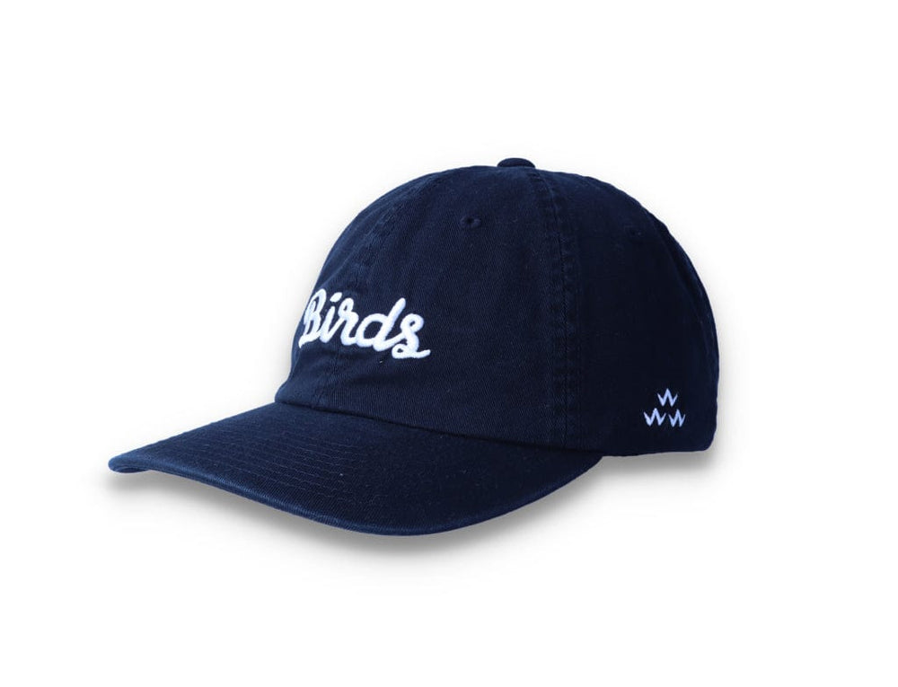 Birds Rad Cap Black - LOKK