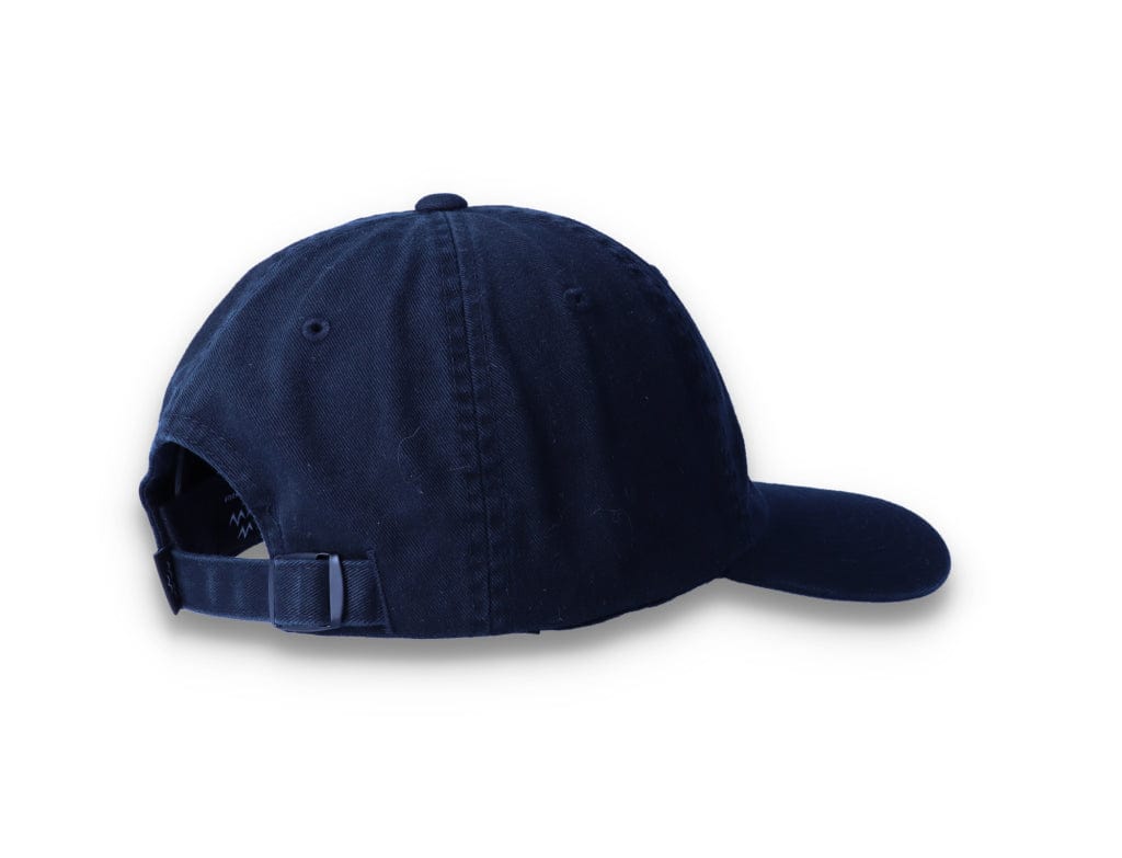Birds Rad Cap Black - LOKK