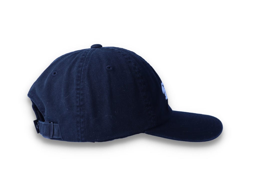 Birds Rad Cap Black - LOKK