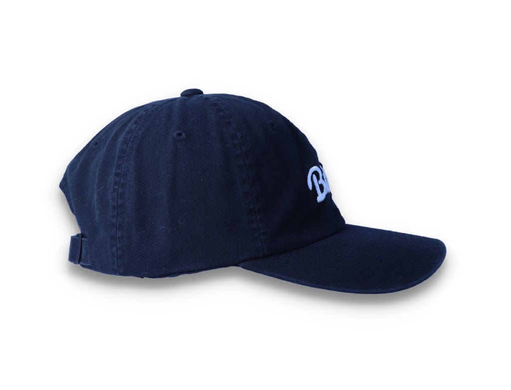 Birds Rad Cap Black - LOKK