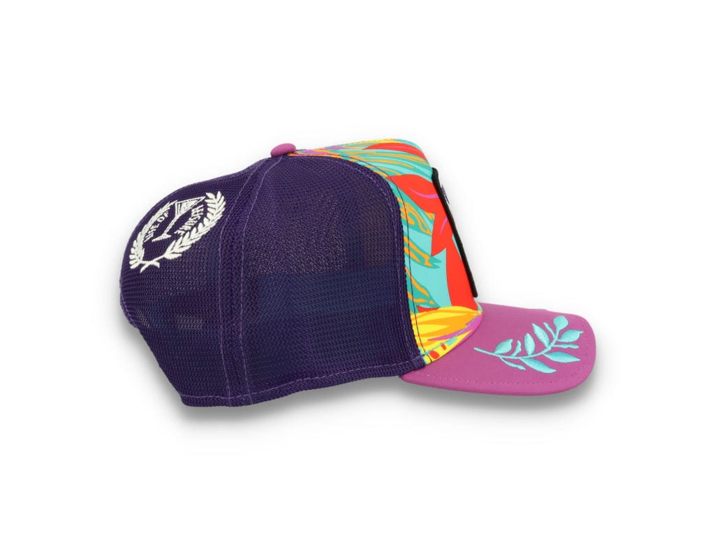 Goorin Trucker Cap  Even Betta Purple