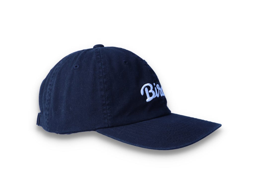 Birds Rad Cap Black - LOKK