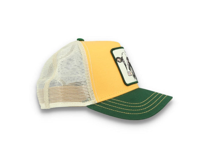 Goorin Trucker Cap  The Cash Cow Yellow - LOKK