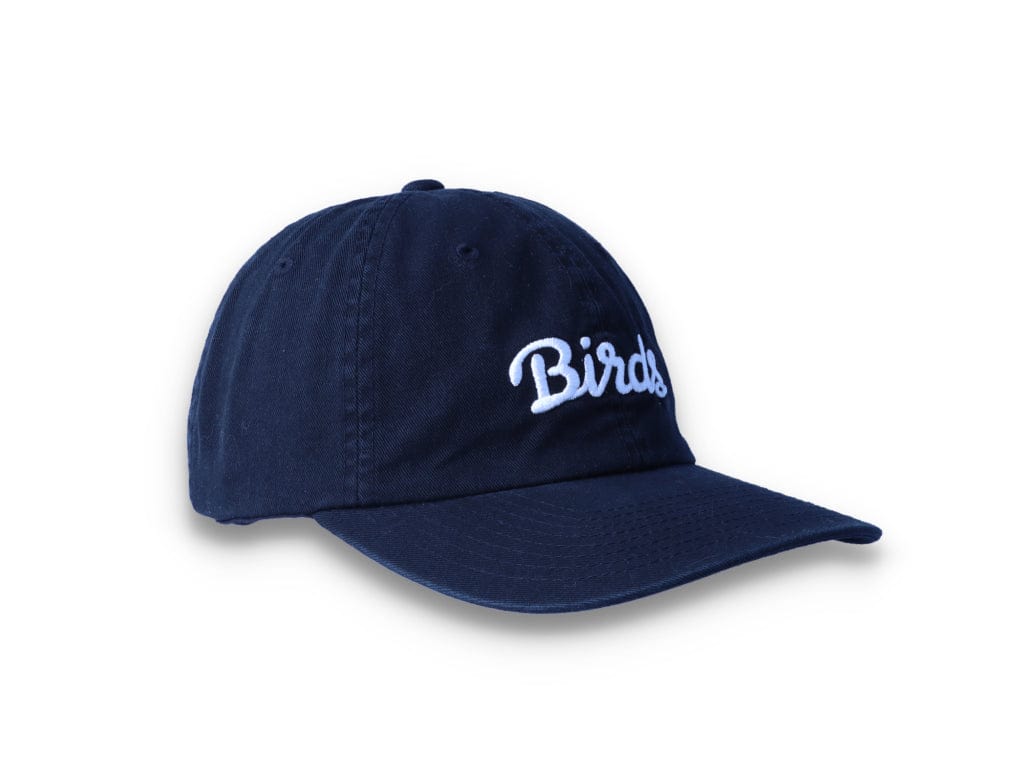 Birds Rad Cap Black - LOKK