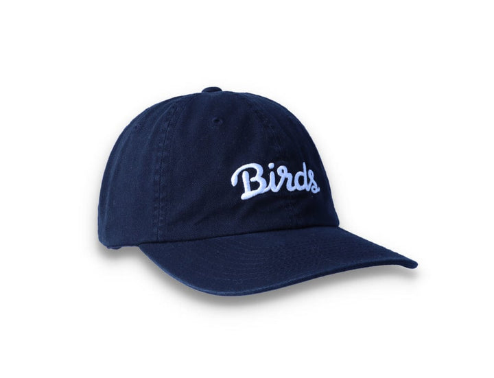 Birds Rad Cap Black - LOKK