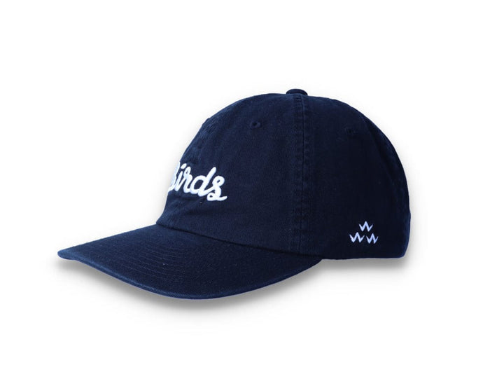 Birds Rad Cap Black - LOKK