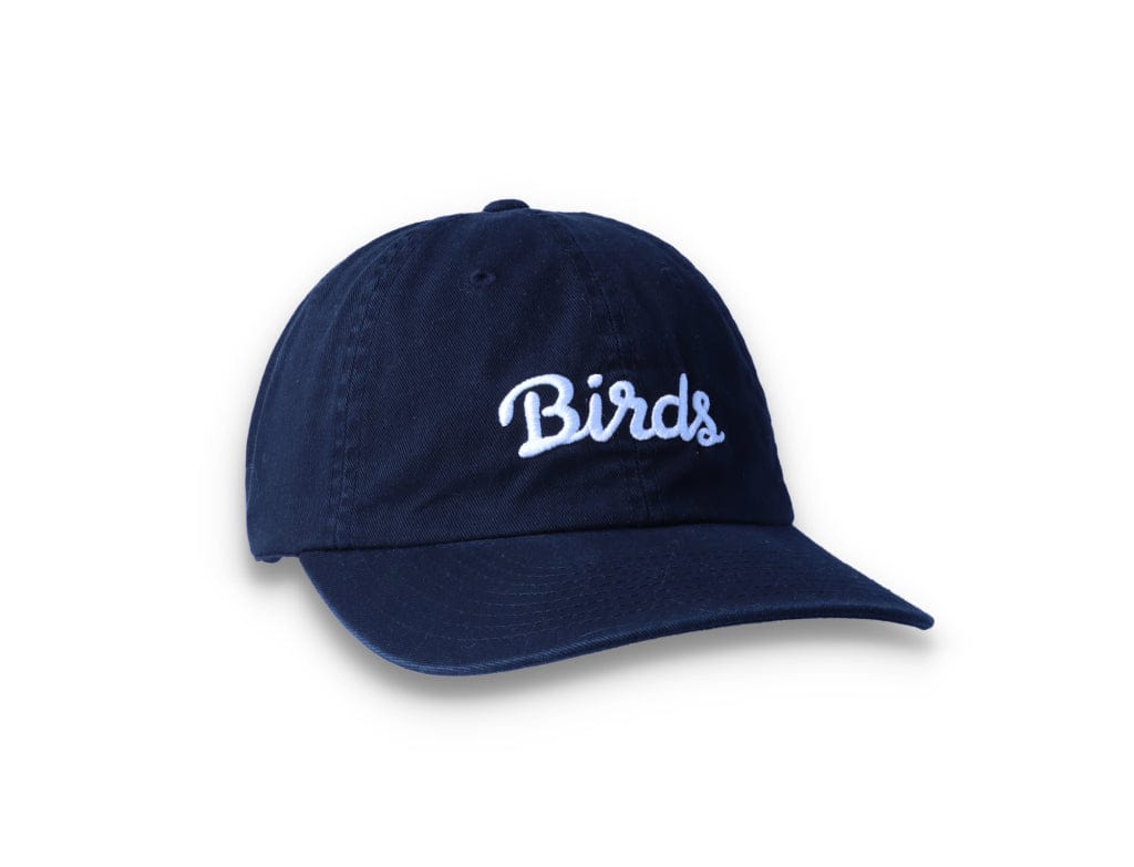 Birds Rad Cap Black - LOKK