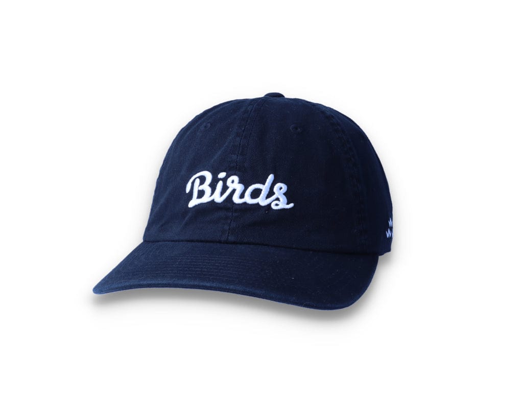 Birds Rad Cap Black - LOKK