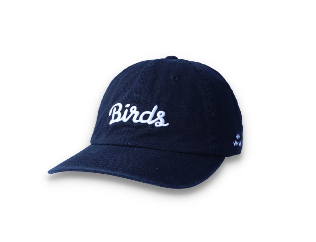 Birds Rad Cap Black - LOKK