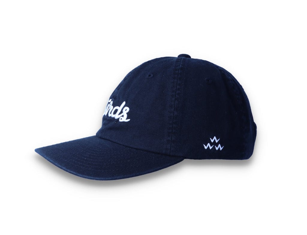 Birds Rad Cap Black - LOKK