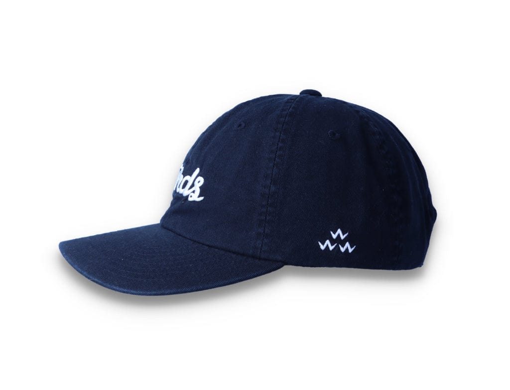Birds Rad Cap Black - LOKK