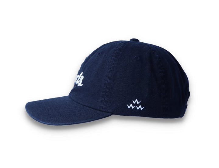 Birds Rad Cap Black - LOKK