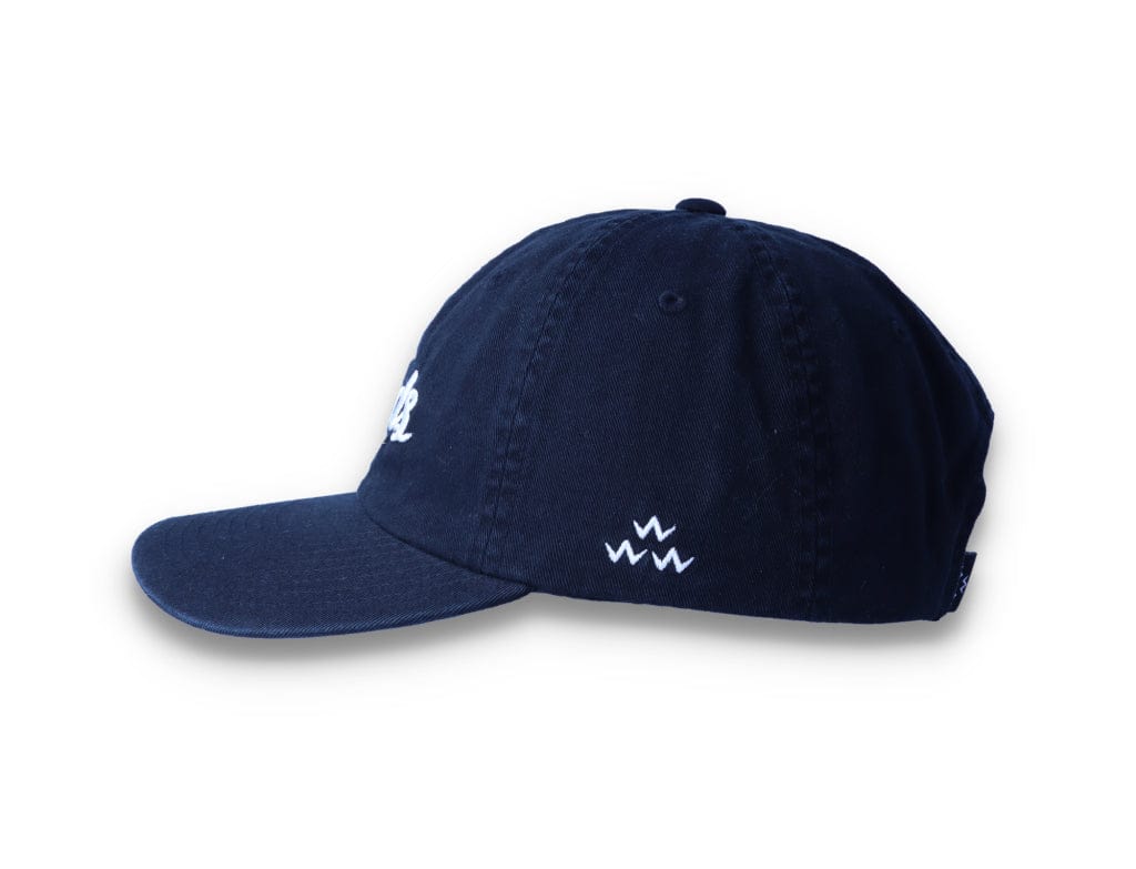 Birds Rad Cap Black - LOKK