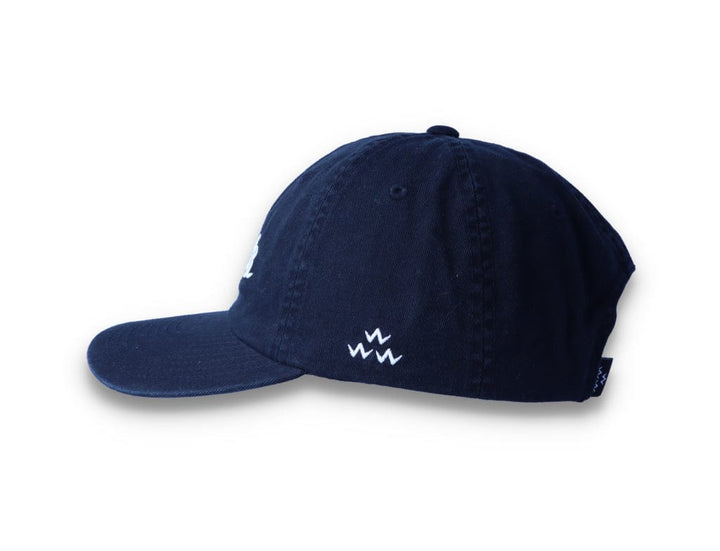 Birds Rad Cap Black - LOKK