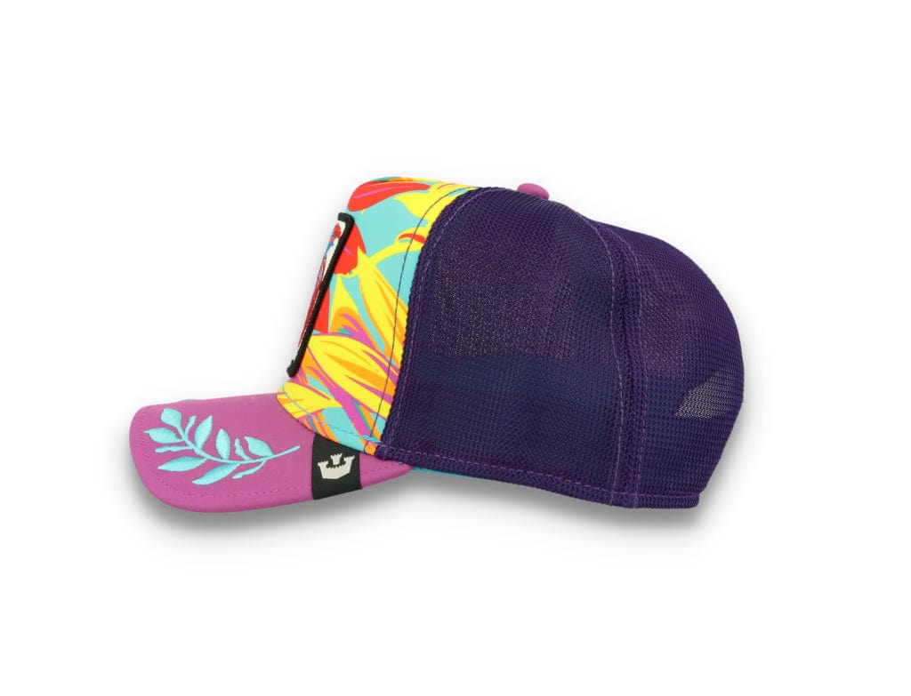 Goorin Trucker Cap  Even Betta Purple