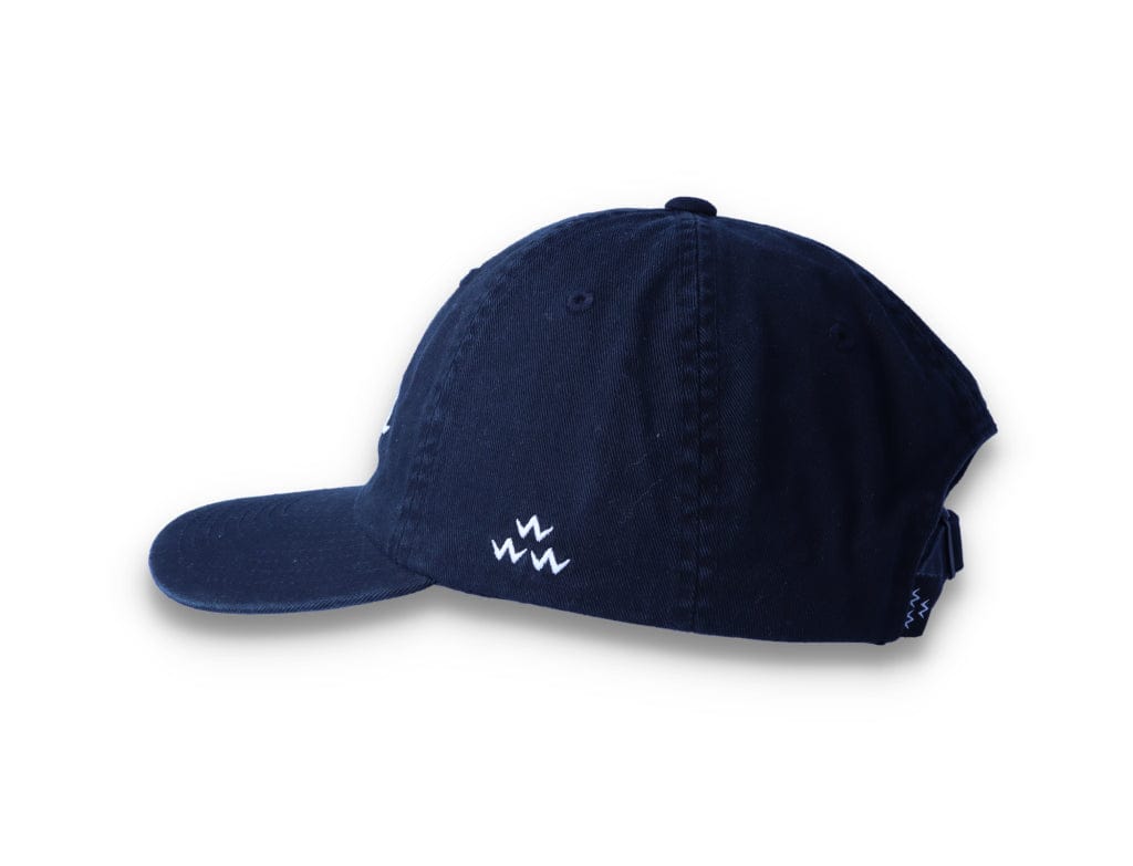 Birds Rad Cap Black - LOKK