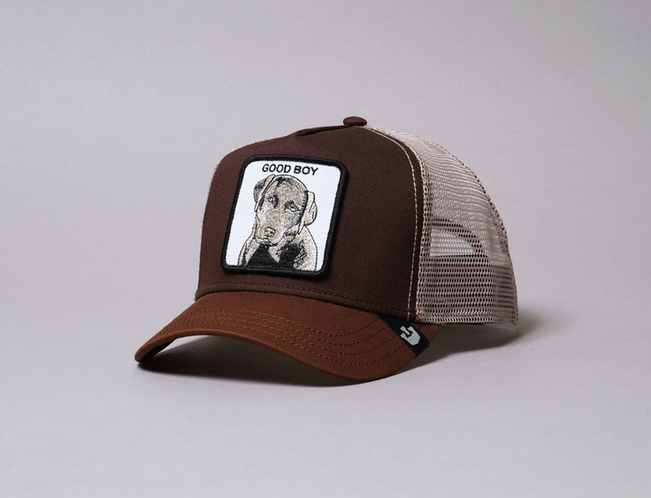 Cap Trucker Goorin Animal Farm Sweet Chocolate Goorin Trucker Cap / Brown / One Size
