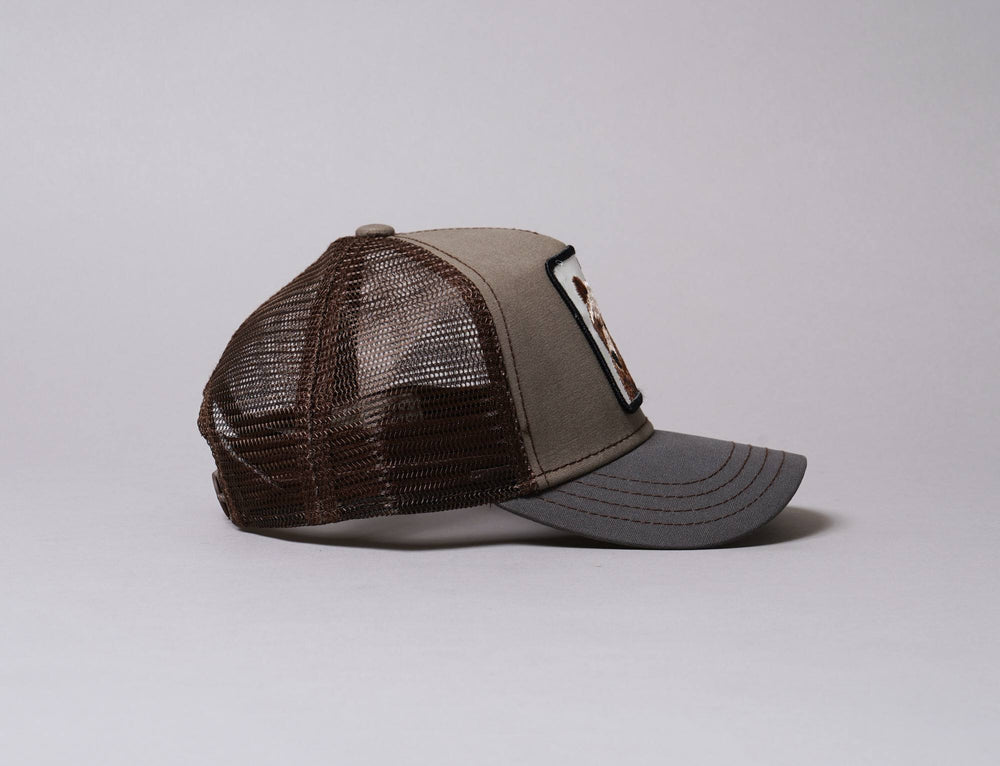 Cap Trucker Trucker Cap Barn Goorin Animal Farm Little Grizzly Goorin Trucker Cap / Green / One Size (50-54 cm)