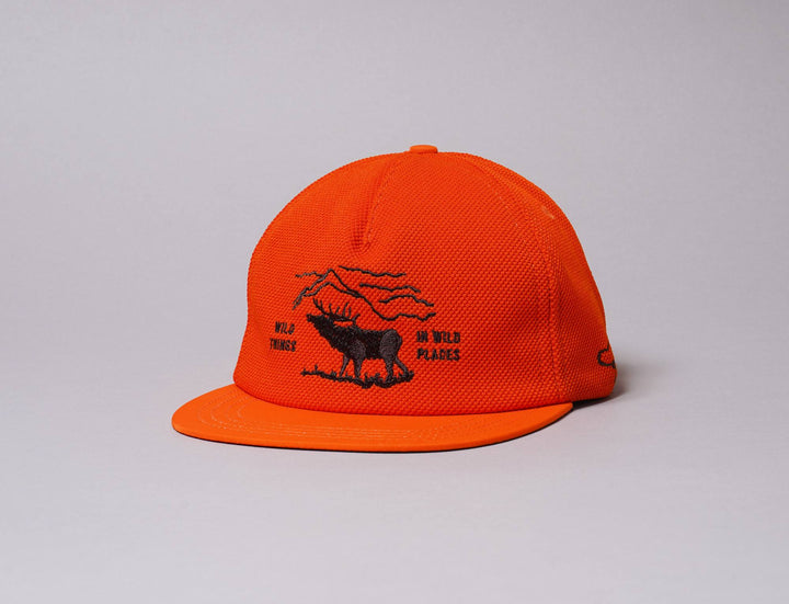 Cap Adjustable The Ampal Creative Wild Places Strapback Orange The Ampal Creative Adjustable Cap / Orange / One Size
